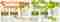 gazetrailenheatmap gazetrailenheatmap
