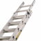 ladder ladder