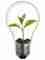 Lightbulb