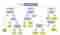 google-panda-update-tree-learning Google Panda update-tree learning
