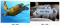 Pinterest - Pin this (button) Pinterest - Pin this (button)