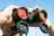 binocular