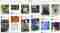 pinterest tuin