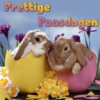 Prettige paasdagen!
