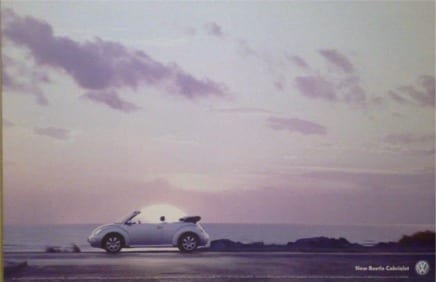 beetle.jpg