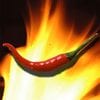 Verslag Media Plaza: Non-Spot is Hot (deel 1)