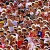 crowd