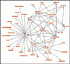 Social Network Aggregators knopen alle online sociale netwerken aan elkaar