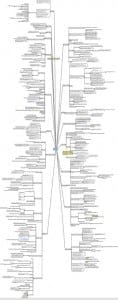 Eduhub concept mindmap