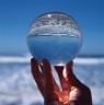 Trends 2009: Sociale Netwerken
