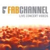 Fabchannel