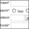 Tips voor goede online formulieren
