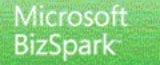 Microsoft BizSpark: supporting start-ups
