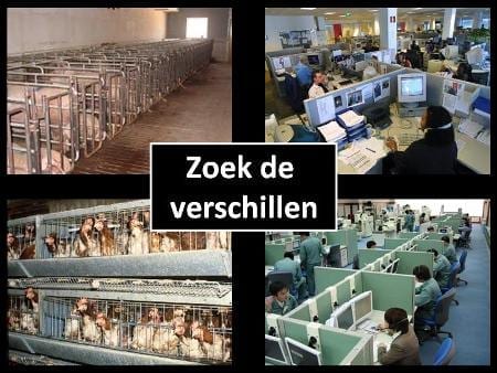 mark-veldpape-slimmer-werken-door-vakmanschap1