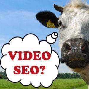 videoseo-300