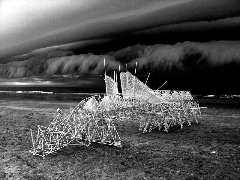 Theo Jansen en zijn strandbeesten. Foto: Loek van der Klis