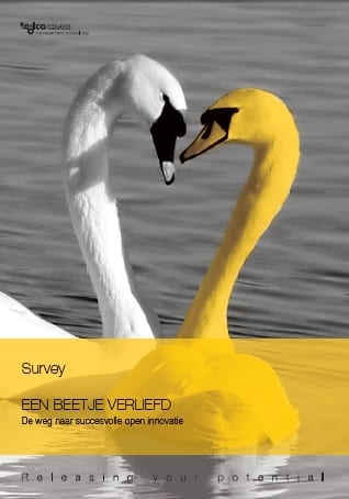 een-beetje-verliefd