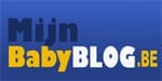Mijnbabyblog: Zwangerschapsdagboek op internet