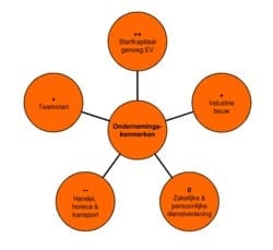 ondernemingskenmerken