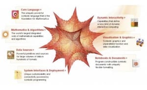 picture-4