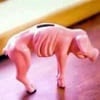 Het nieuwe geld