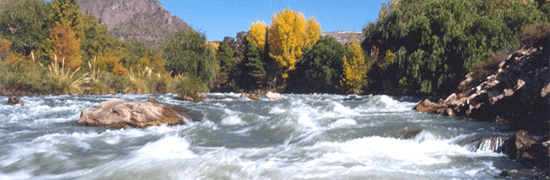 riverlake