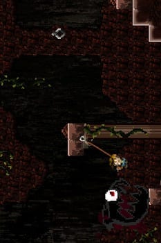 Hook-Champ