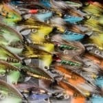 flies