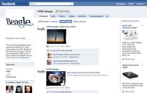 beagle-facebook