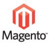 Leerzame inzichten op Meet Magento 2010