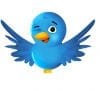 Twittermeester