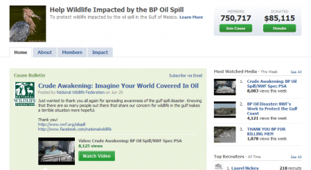Cause BP Oil