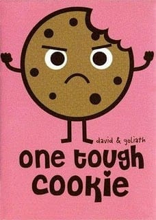 Flash Cookie Flash Cookie