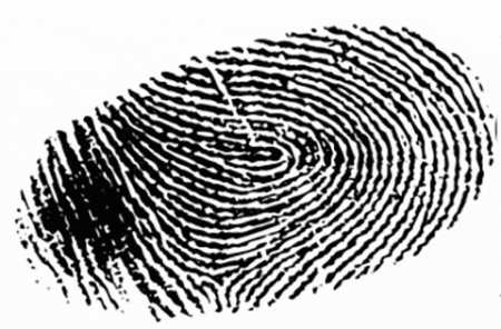 Fingerprint Fingerprint