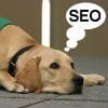 Wat is de waarde van de nummer 1 positie in Google?
