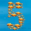 Online Campagne Top 5: Digitale Dagbladen