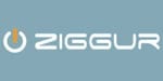 Ziggur: Digitaal nalatenschap