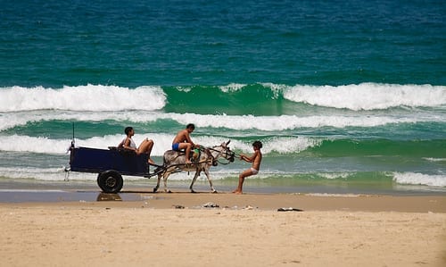 Foto van een jongen die op het strand trekt aan een ezel met een kar
