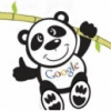 Affiliate marketing & tips voor de Google Panda update