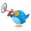 TNN: het Twitter Nieuws Netwerk