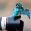 Fotodienst Twitter & effect van Facebook op relaties [infographic]