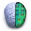 Celverspilling: Google als extern geheugen
