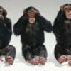 Tien tips om klaar te zijn voor (online) crisismanagement