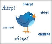 De Twitter-toon maakt de muziek - foto Widjaya Ivan