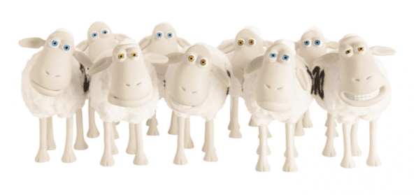 Kudde schapen