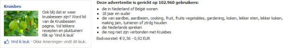 Voorbeeld op interesse getargette advertentie campagne