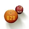 De verschillen tussen B2C & B2B bij social media marketing [infographic]