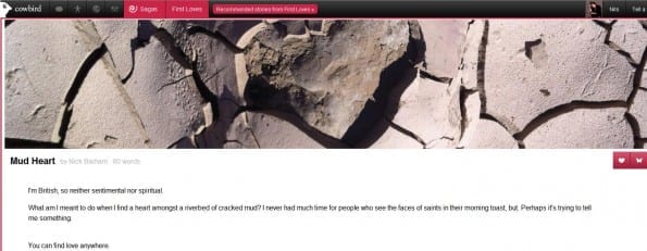Een story in Cowbird