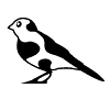 Cowbird: ‘slowcial network’ voor diepgang en reflectie