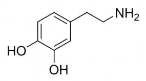 Dopamine_chemical_structure